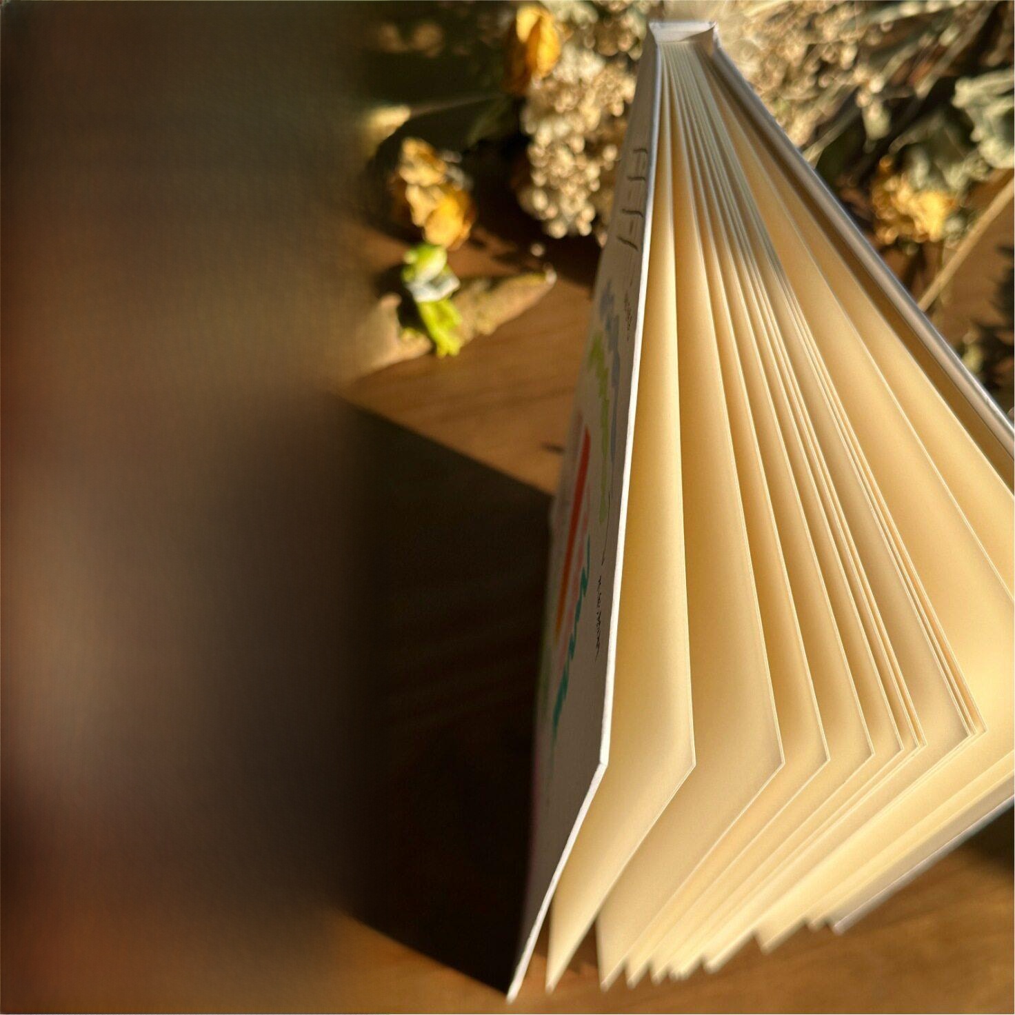 Journal Leather Hardcover - Hand Drawn Hard Cover Accordion Page