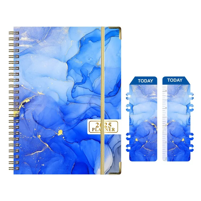 2025 Weekly & Monthly Planner  - Planner Weekly Budget 评论和价格